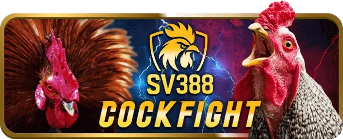 Trò chơi nổ hũ video 89bet4